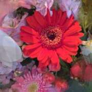 ヒメ日記 2026/04/04 20:20 投稿 まり 茨城水戸ちゃんこ