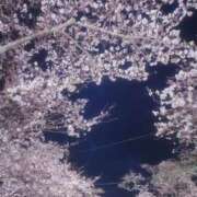 ヒメ日記 2026/04/11 17:16 投稿 まり 茨城水戸ちゃんこ