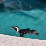 ヒメ日記 2026/06/02 19:15 投稿 まり 茨城水戸ちゃんこ