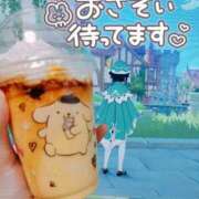 ヒメ日記 2026/04/11 19:05 投稿 うるる ピンクコレクション大阪