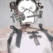 ヒメ日記 2026/04/13 03:01 投稿 うるる ピンクコレクション大阪