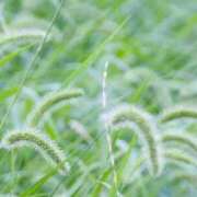 ヒメ日記 2026/04/22 07:35 投稿 みあ ナチュラルプリンセス