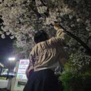 ヒメ日記 2026/04/08 08:42 投稿 ももな Seirenes (セイレネス)