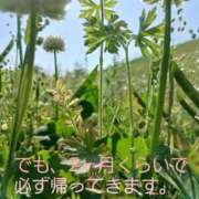 ヒメ日記 2026/04/17 00:16 投稿 しなの 久留米デリヘルセンター