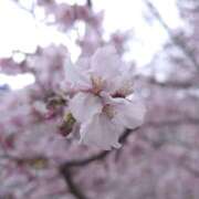 らな 見てね💞 ミルキーラテ