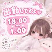 ヒメ日記 2026/10/02 12:32 投稿 ゆき 奥様メモリアル