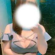 ヒメ日記 2026/04/28 19:50 投稿 まゆ パイの巣