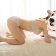 ヒメ日記 2026/04/21 16:42 投稿 みき Evolution 2nd