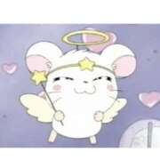 ヒメ日記 2026/09/14 21:42 投稿 みみ ミセスロマン(上尾)