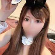 ヒメ日記 2026/04/15 21:22 投稿 れな TALENT（タレント）