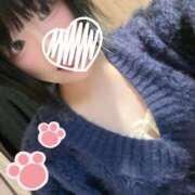 ヒメ日記 2026/04/11 00:40 投稿 冬（ふゆ） 人妻の蜜