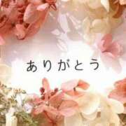 ヒメ日記 2026/04/15 20:15 投稿 ひかる 熟女家 ミナミエリア店