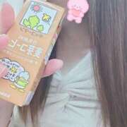 ヒメ日記 2026/04/22 11:07 投稿 ひかる 熟女家 ミナミエリア店