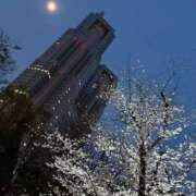 ヒメ日記 2026/04/06 20:07 投稿 りんか I❤HIMEJI（アイラブ姫路）