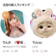 ヒメ日記 2026/04/11 14:50 投稿 りんか I❤HIMEJI（アイラブ姫路）