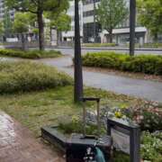 ヒメ日記 2026/04/30 10:05 投稿 りんか I❤HIMEJI（アイラブ姫路）