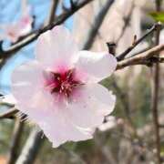 ヒメ日記 2026/04/02 12:20 投稿 あおい Garter Princess＆Mrs（ガータープリンセス＆ミセス）