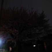 ヒメ日記 2026/04/07 19:48 投稿 みなみ アドミsince2002立川デリヘル&Go To FANTASY東京本店