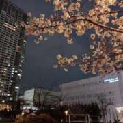 ヒメ日記 2026/03/31 13:29 投稿 沢村ありさ ウルトラハピネス