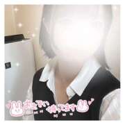 ヒメ日記 2026/04/11 15:38 投稿 あむ ピンキーエコ