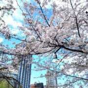 ヒメ日記 2026/04/14 12:06 投稿 吉高ひかり 皇帝別館（こうていべっかん）