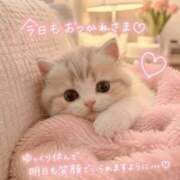 ヒメ日記 2026/06/22 14:15 投稿 吉高ひかり 皇帝別館（こうていべっかん）