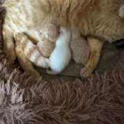 ヒメ日記 2026/03/30 22:04 投稿 せつな 熟女の風俗最終章 仙台店