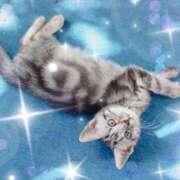 ヒメ日記 2026/03/31 17:24 投稿 せつな 熟女の風俗最終章 仙台店