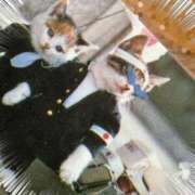 ヒメ日記 2026/04/01 09:26 投稿 せつな 熟女の風俗最終章 仙台店