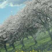 ヒメ日記 2026/04/12 16:43 投稿 せつな 熟女の風俗最終章 仙台店