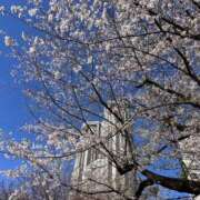 ヒメ日記 2026/04/04 22:21 投稿 ろぜ コンカフェ×オナクラ ＠LOVE渋谷店