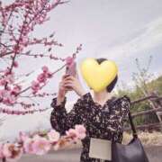 ヒメ日記 2026/04/03 14:40 投稿 南あずさ 宇都宮回春性感クリニック