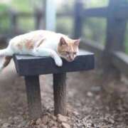 ヒメ日記 2026/04/11 22:45 投稿 南あずさ 宇都宮回春性感クリニック