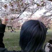 ヒメ日記 2026/05/11 12:52 投稿 芽依(めい) グランドオペラ横浜