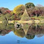 ヒメ日記 2026/04/28 07:15 投稿 桐山すずか 三丁目の奥様（東京ハレ系）