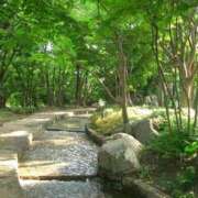 ヒメ日記 2026/06/15 05:15 投稿 桐山すずか 三丁目の奥様（東京ハレ系）