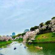 ヒメ日記 2026/04/06 08:28 投稿 早見ことね 恋する妻たち