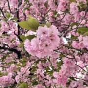 ヒメ日記 2026/04/14 01:04 投稿 美影(みかげ) エクレア上野御徒町　天然貴姉乳舐手淫店