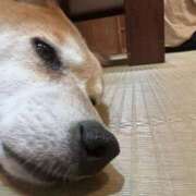 ヒメ日記 2026/05/01 21:51 投稿 サラ【GOLD】 ROMANCE and GIRLS 盛岡