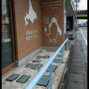ヒメ日記 2026/06/23 15:10 投稿 桜井みわ 五十路マダム 岐阜店