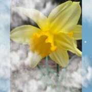 ヒメ日記 2026/04/12 09:31 投稿 高輪ゆめ ABC 岩手ソープ