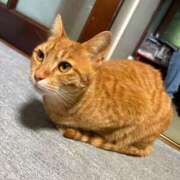 ヒメ日記 2026/06/01 21:16 投稿 なな CLUB ROOKIE（ルーキー）