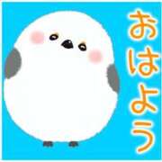ヒメ日記 2026/06/09 10:01 投稿 なな CLUB ROOKIE（ルーキー）