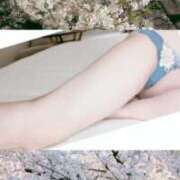 ヒメ日記 2026/04/06 12:24 投稿 まゆ 素人妻達☆マイふぇらレディー