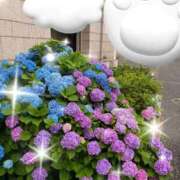 ヒメ日記 2026/06/17 22:48 投稿 いずみ Salon du M-えっちなお姉さんのM性感デリバリー-五反田店