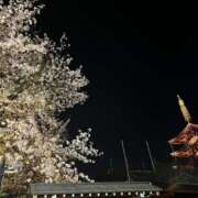 めぐ 🌸 ぼくらのデリヘルランドin春日部・久喜店