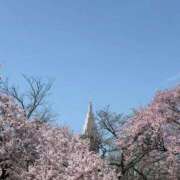 ヒメ日記 2026/03/30 19:46 投稿 ひめか 秋葉原コスプレ学園in西川口