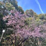 ヒメ日記 2026/04/16 15:32 投稿 りこ 出会い系人妻ネットワーク さいたま～大宮編