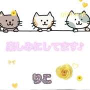 ヒメ日記 2026/08/20 12:02 投稿 りこ 出会い系人妻ネットワーク さいたま～大宮編