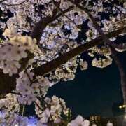 ヒメ日記 2026/04/05 19:19 投稿 遠山 鶯谷人妻城